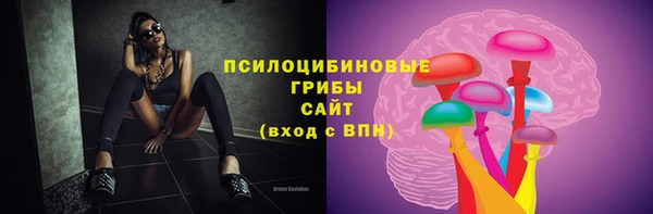 амф Балахна