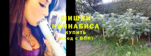 амф Пестово